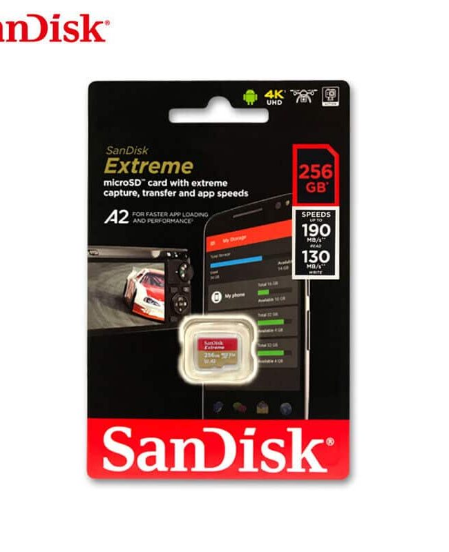 Sandisk256A2_2